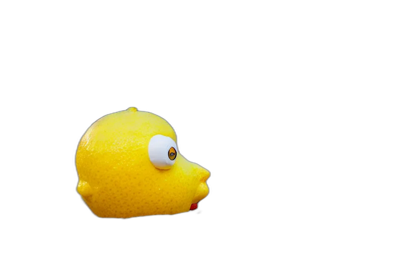 animal, creature, mask, food transparent PNG cut-out