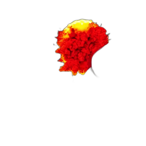 flower, crown, hair, hat transparent PNG cut-out