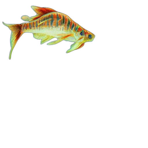 animal, creature, dragon, staff transparent PNG cut-out