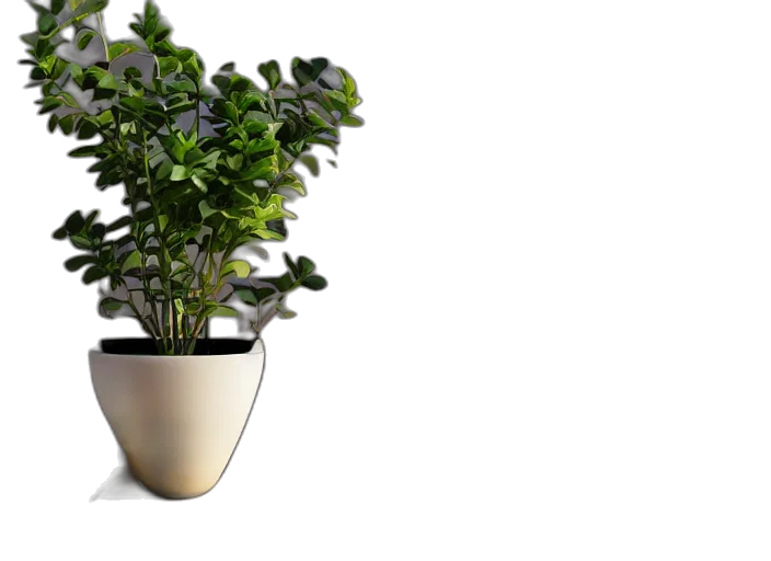crown, 3d render, photorealistic, small transparent PNG cut-out