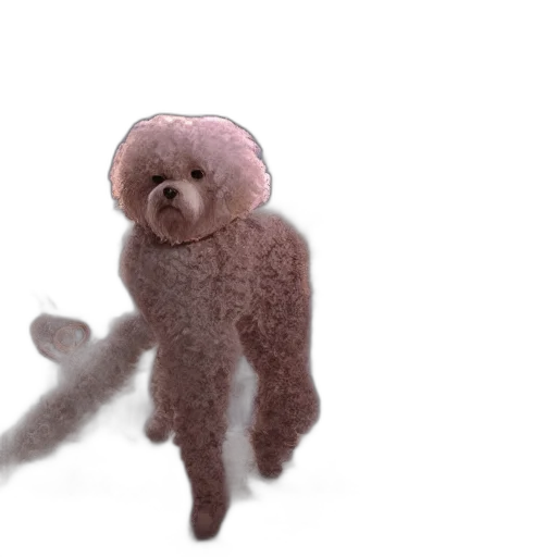 creature, animal, hair, staff transparent PNG cut-out