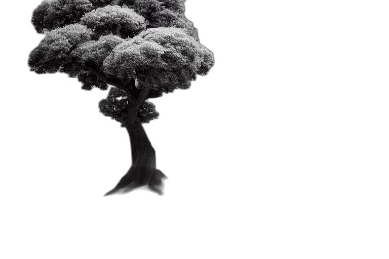 tree, crown, hair, umbrella, 3d render, photorealistic, concept art, fantasy art transparent PNG cut-out