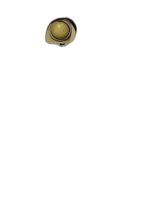 jewelry, weapon, staff, crown, 3d render, photorealistic, pixel art, concept art transparent PNG cut-out