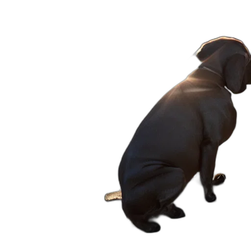 animal, staff, creature, jewelry transparent PNG cut-out