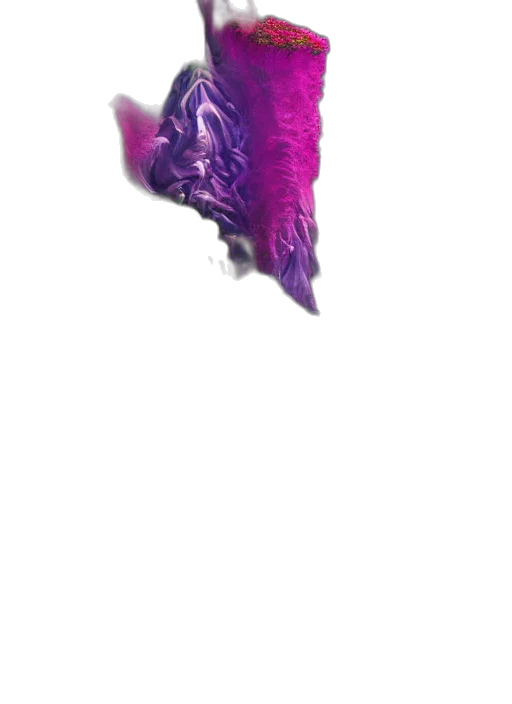 dragon, mask, hair, flower transparent PNG cut-out