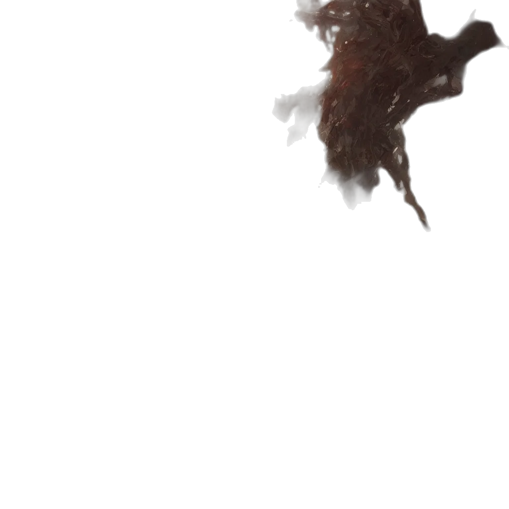 dragon, creature, hair, animal transparent PNG cut-out