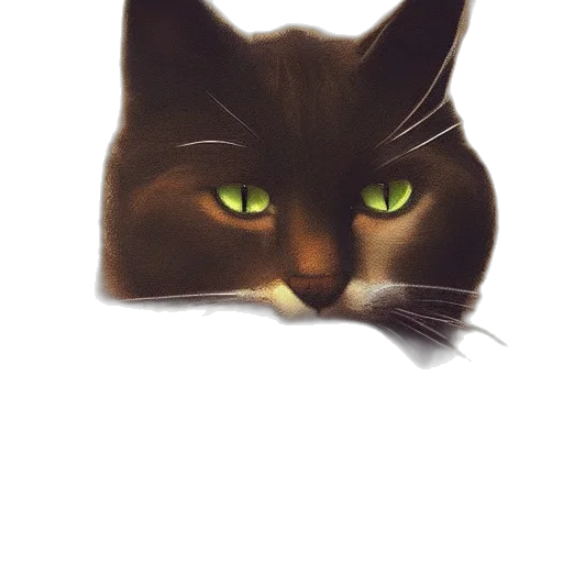animal, face, mask, staff transparent PNG cut-out