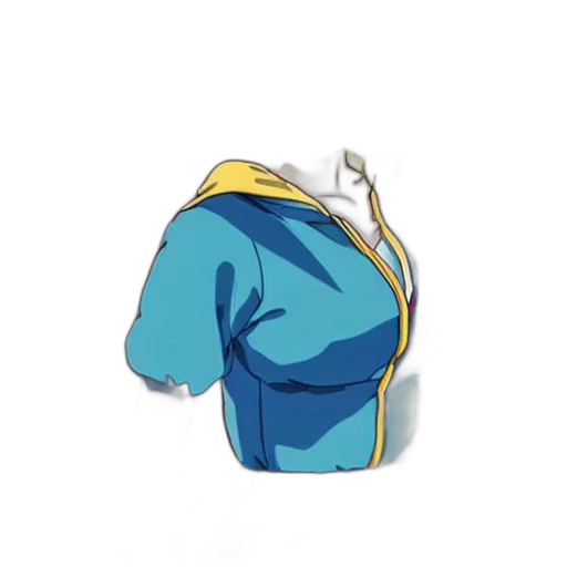 jacket, staff, crown, hat transparent PNG cut-out