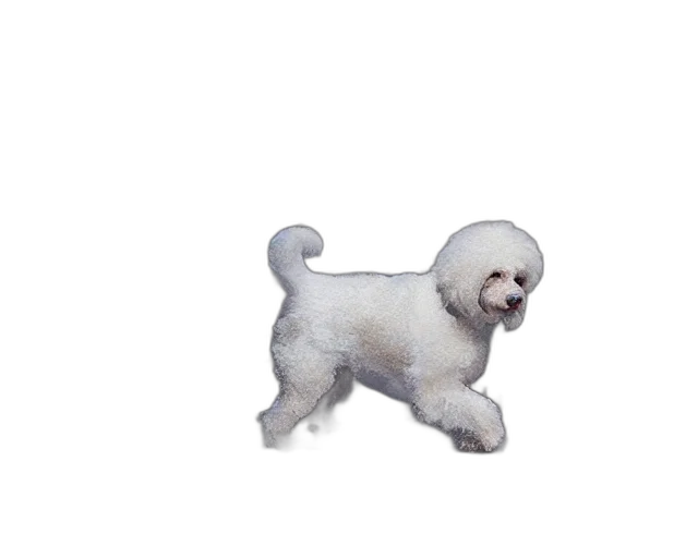 animal, creature, hair, staff, photorealistic, 3d render, pixel art, oil painting transparent PNG cut-out