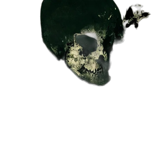 mask, face, creature, animal transparent PNG cut-out