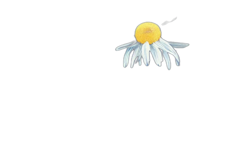 flower, crown, umbrella, jewelry, concept art, 3d render, pixel art, photorealistic transparent PNG cut-out