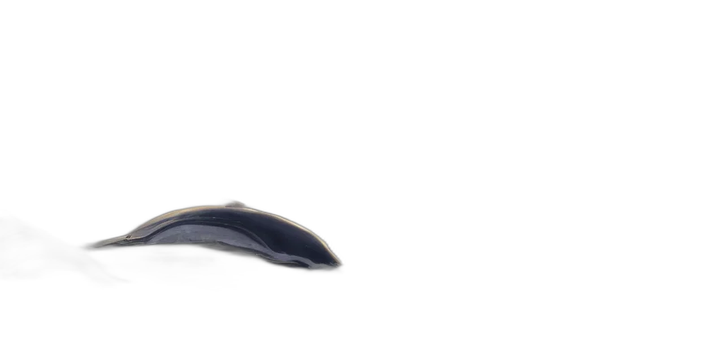 shoes, weapon, hat, jewelry transparent PNG cut-out