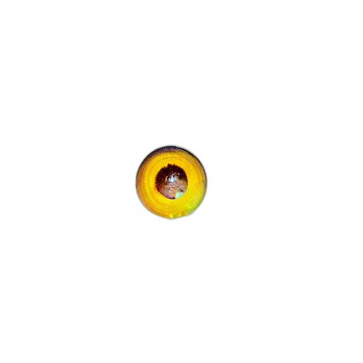jewelry, food, staff, hair transparent PNG cut-out
