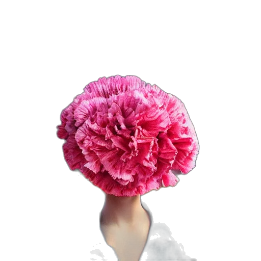 flower, hat, crown, dress transparent PNG cut-out