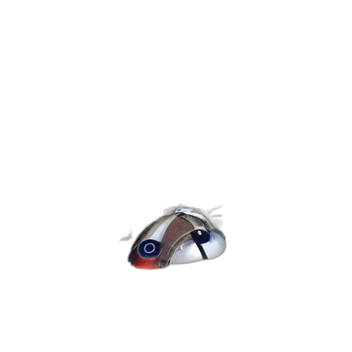 shoes, hat, umbrella, jewelry transparent PNG cut-out