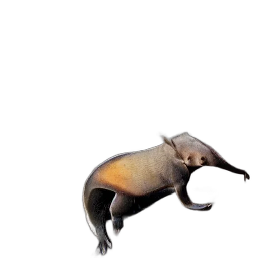 animal, creature, staff, dragon, concept art, 3d render, photorealistic, watercolor transparent PNG cut-out