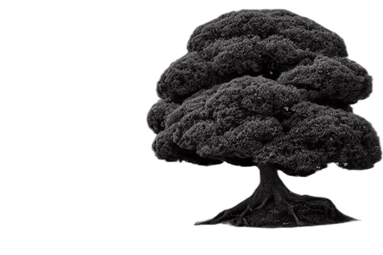 tree, crown, hair, hat, photorealistic, 3d render, concept art, award transparent PNG cut-out