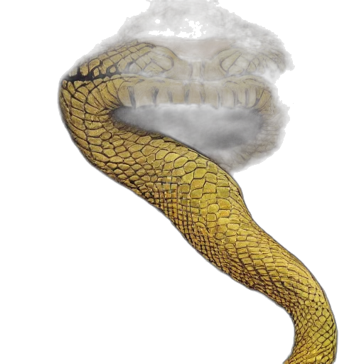 dragon, staff, hair, creature transparent PNG cut-out