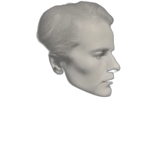face, mask, hair, crown transparent PNG cut-out