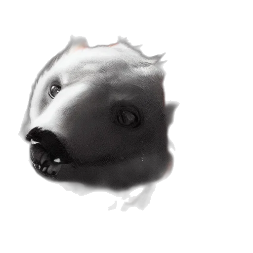 creature, face, animal, mask transparent PNG cut-out