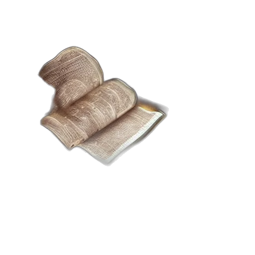 furniture, jewelry, food, hair, 3d render, photorealistic, earth tones, hyper transparent PNG cut-out