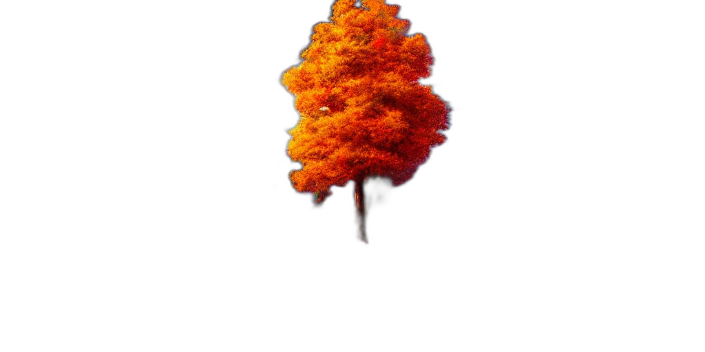 tree, crown, hair, hat, 3d render, photorealistic, watercolor, oil painting transparent PNG cut-out