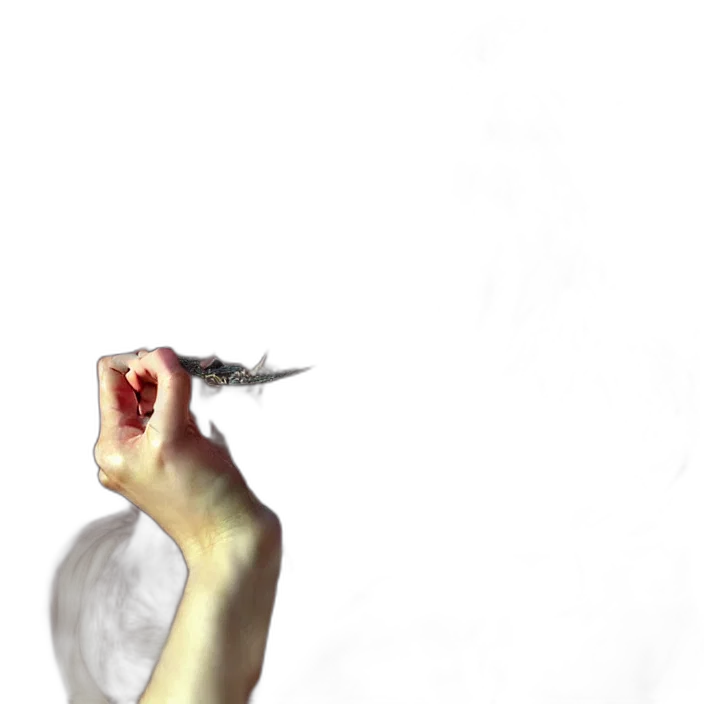 weapon, staff, sword, hair transparent PNG cut-out