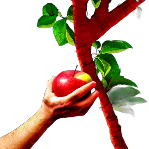 food, staff, weapon, tree, photorealistic, 3d render, red, man transparent PNG cut-out