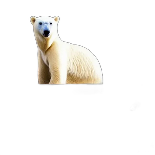 animal, creature, face, staff transparent PNG cut-out