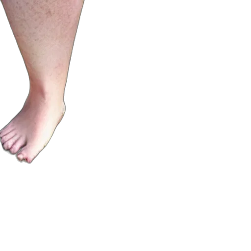 shoes, dress, creature, animal transparent PNG cut-out