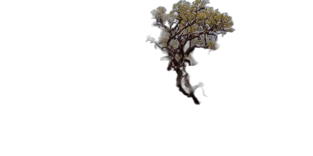 tree, hair, creature, dragon transparent PNG cut-out