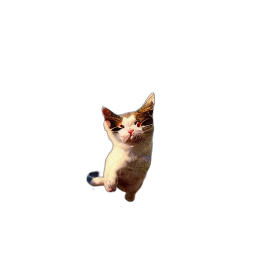 animal, creature, staff, robot transparent PNG cut-out