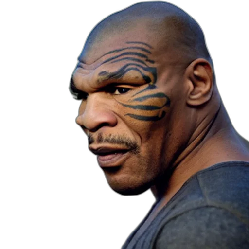 face, animal, mask, creature transparent PNG cut-out