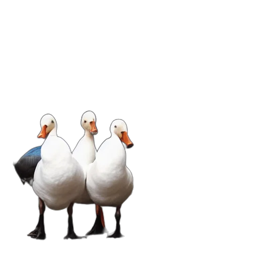 animal, jacket, shoes, hat, 3d render, concept art, pixel art, photorealistic transparent PNG cut-out
