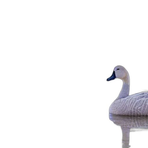 animal, creature, hat, crown, 3d render, photorealistic, concept art, pixel art transparent PNG cut-out