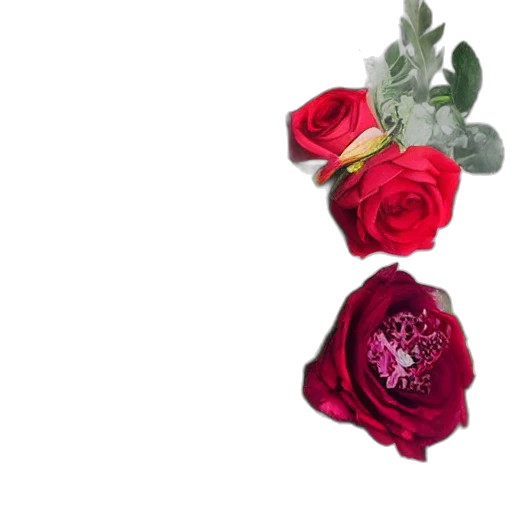 flower, jewelry, crown, photorealistic transparent PNG cut-out