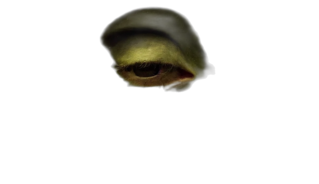 face, creature, mask, hat, photorealistic, watercolor, oil painting, concept art transparent PNG cut-out