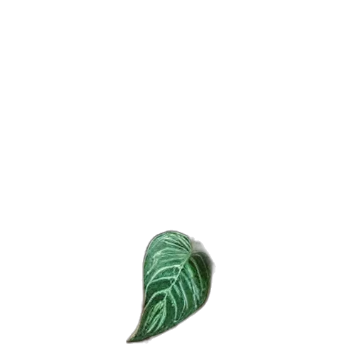 tree, flower, jewelry, food, 3d render, photorealistic, concept art, fantasy art transparent PNG cut-out