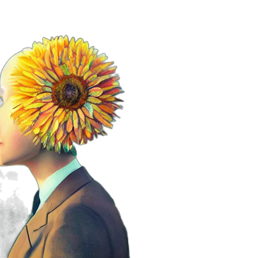 flower, mask, hat, crown transparent PNG cut-out