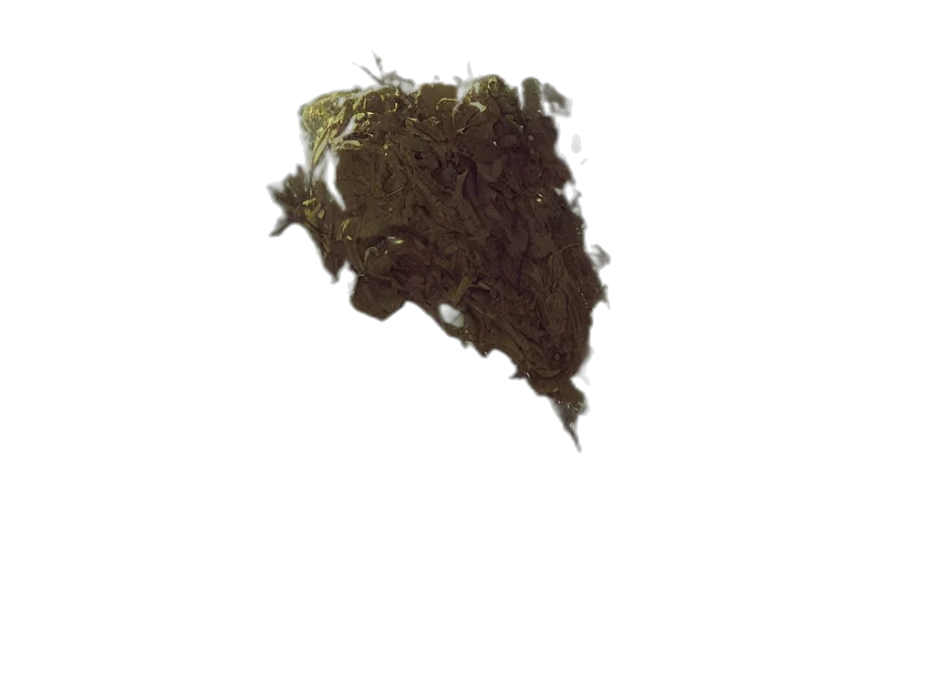 crown, hair, tree, staff transparent PNG cut-out