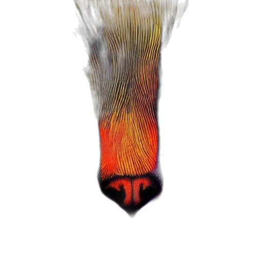 hair, staff, creature, mask transparent PNG cut-out