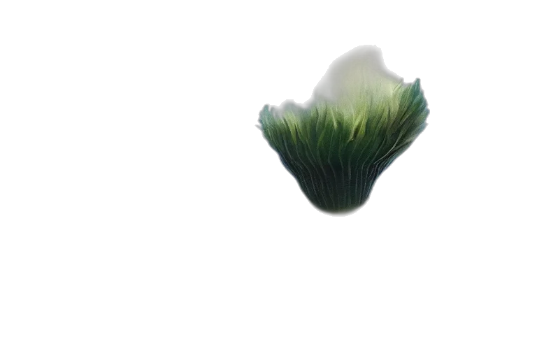 flower, creature, tree, hair, 3d render, concept art, photorealistic, fantasy art transparent PNG cut-out