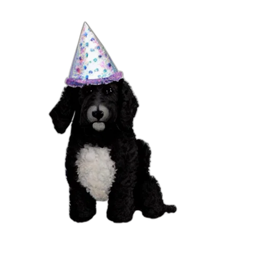 hat, animal, staff, black transparent PNG cut-out