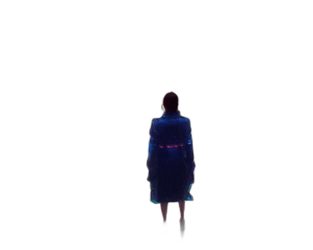 dress, jacket, umbrella, staff transparent PNG cut-out