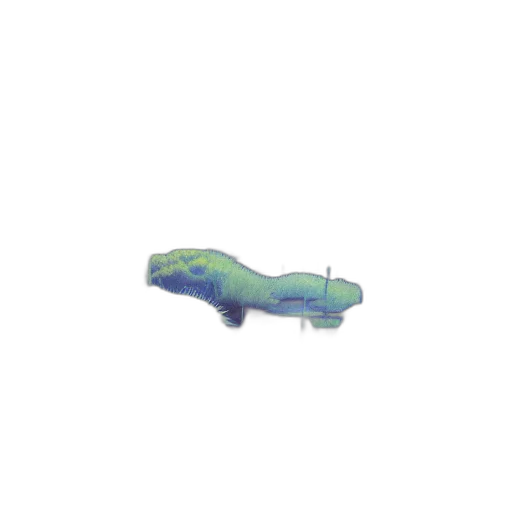shoes, creature, animal, dragon transparent PNG cut-out