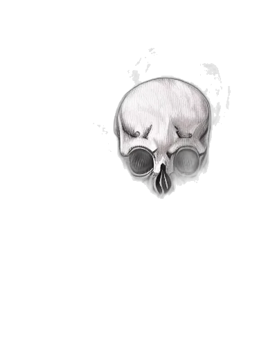 mask, face, creature, animal transparent PNG cut-out