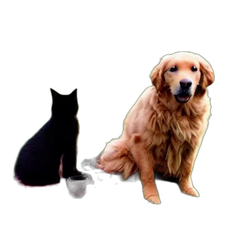 animal, staff, food, furniture, pixel art, photorealistic, concept art, 3d render transparent PNG cut-out