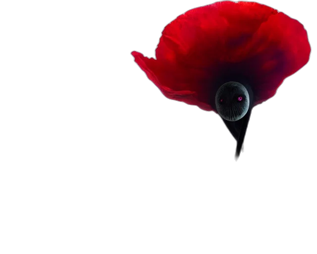 flower, hat, animal, crown transparent PNG cut-out
