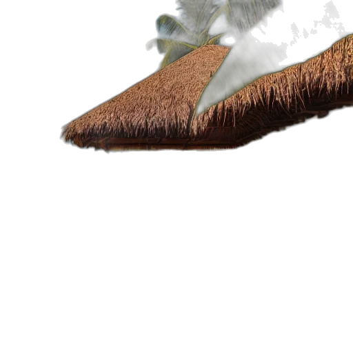hair, hat, tree, creature transparent PNG cut-out