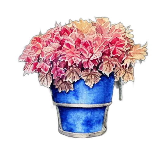 flower, crown, jewelry, hat transparent PNG cut-out